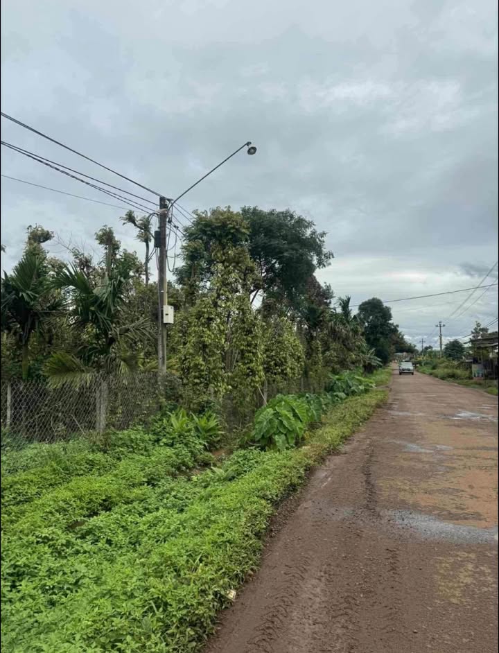 Đất nền thổ cư 700m² tại xã Ea Ning, huyện Cư Kuin - Giá chỉ 910 triệu!