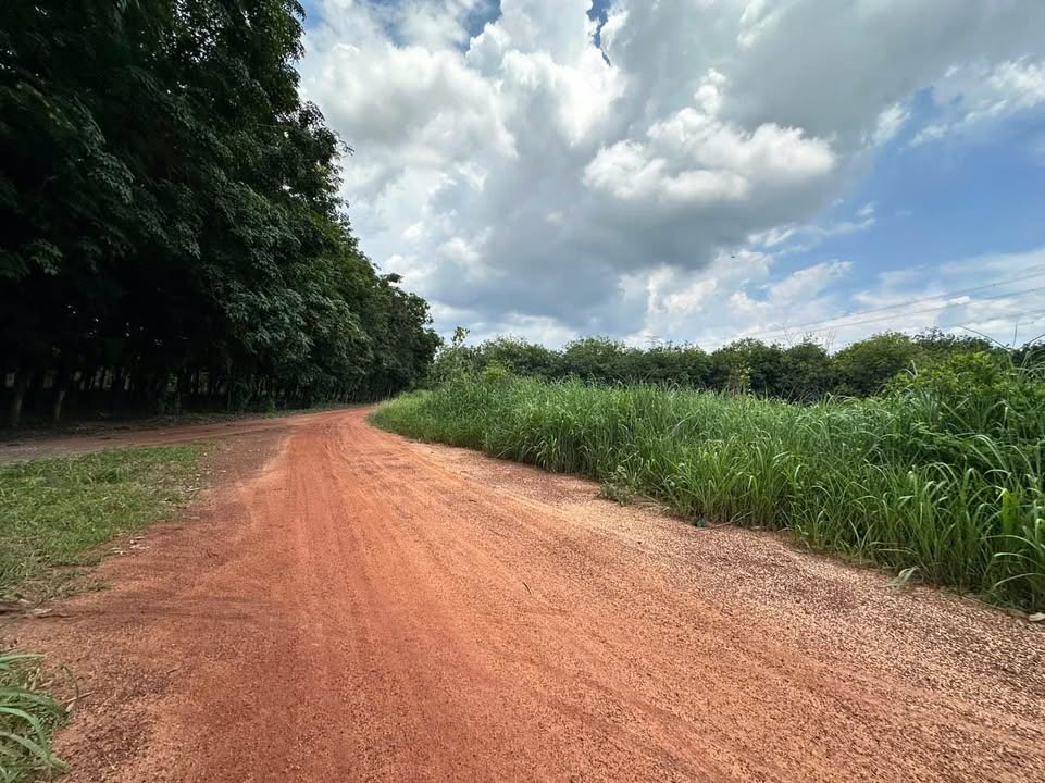 Đất nền An Điền Bến Cát 563m² - Vị trí đẹp, phù hợp xây trọ hoặc kho