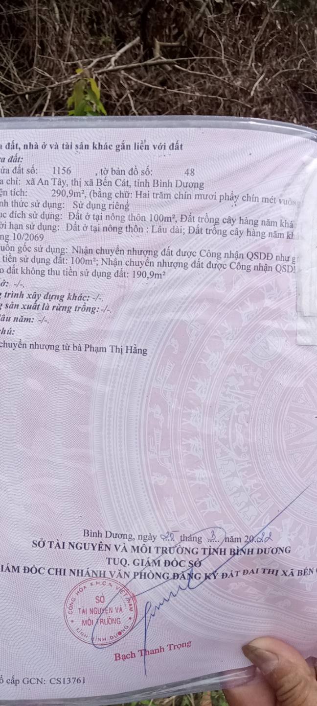 Đất nền 291m² An Tây, Bến Cát, giá 1.25 tỷ - Cơ hội đầu tư hấp dẫn!