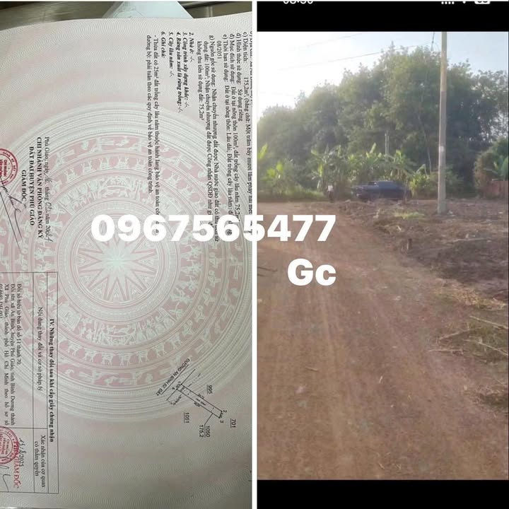 Đất nền An Bình, Phú Giáo 3675m² giá 415 triệu - Sổ đỏ chính chủ, đầu tư sinh lợi!