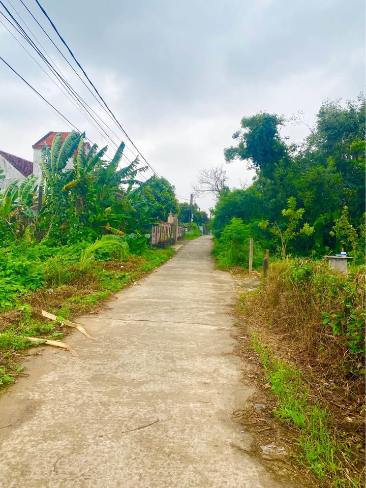 Đất vườn Tịnh Khê 500m² giá 1.1 tỷ - Vị trí lý tưởng nghỉ dưỡng!