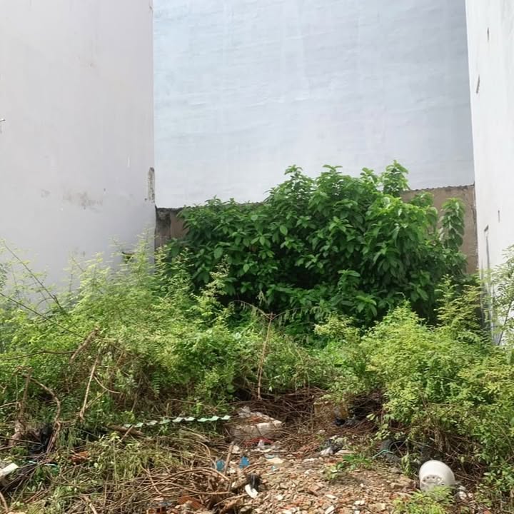 Đất Dương Quảng Hàm Gò Vấp 54m² giá 5.2 tỷ - Đầu tư sinh lời ngay!