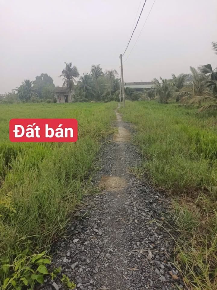 Đất Lúa 3900m² Xã Đức Tân, Tân Trụ, Long An Giá 1.166 Tỷ - Sổ Đỏ Chính Chủ