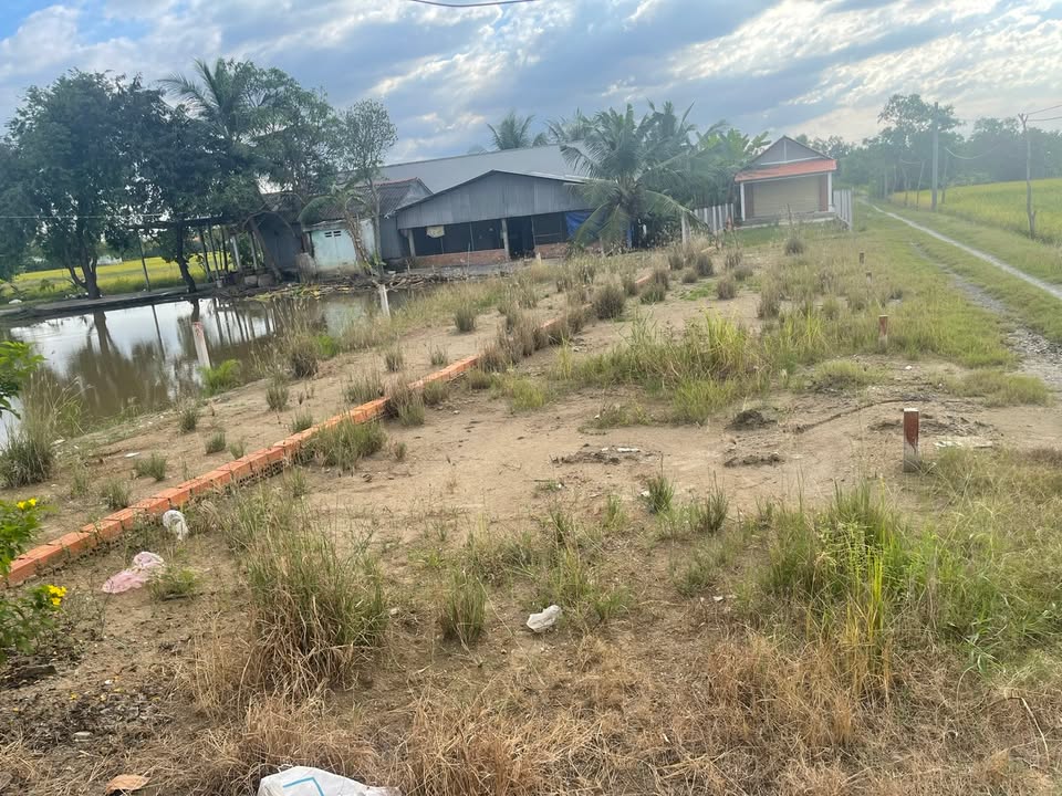 Đất nền Lương Văn Bào, Mỹ Lộc, Cần Giuộc 127m² giá 1.6 tỷ - Đầu tư sinh lời cao!