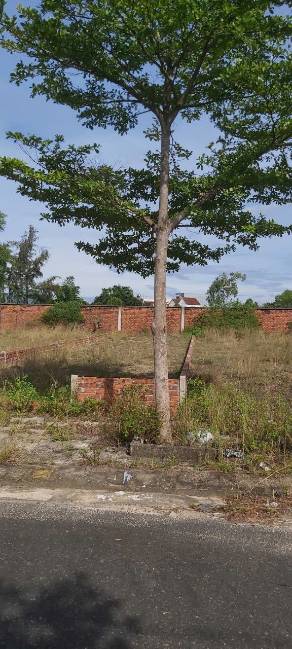 Đất nền Khu dân cư chợ Điện Dương – Điện Bàn 129m² giá 2 tỷ - Đầu tư sinh lời lâu dài!