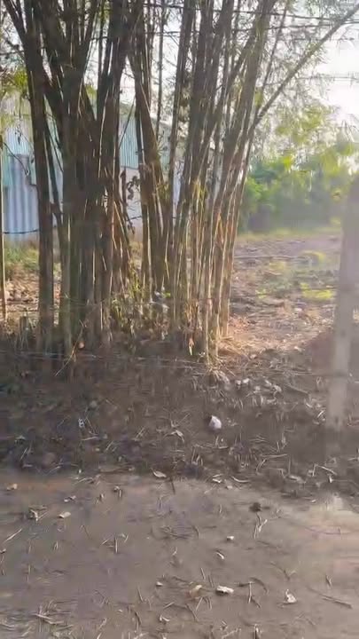 Đất nhánh 7b, Mỹ Phước, Bến Cát 5m² giá 1.2 tỷ - Cơ hội đầu tư tuyệt vời!