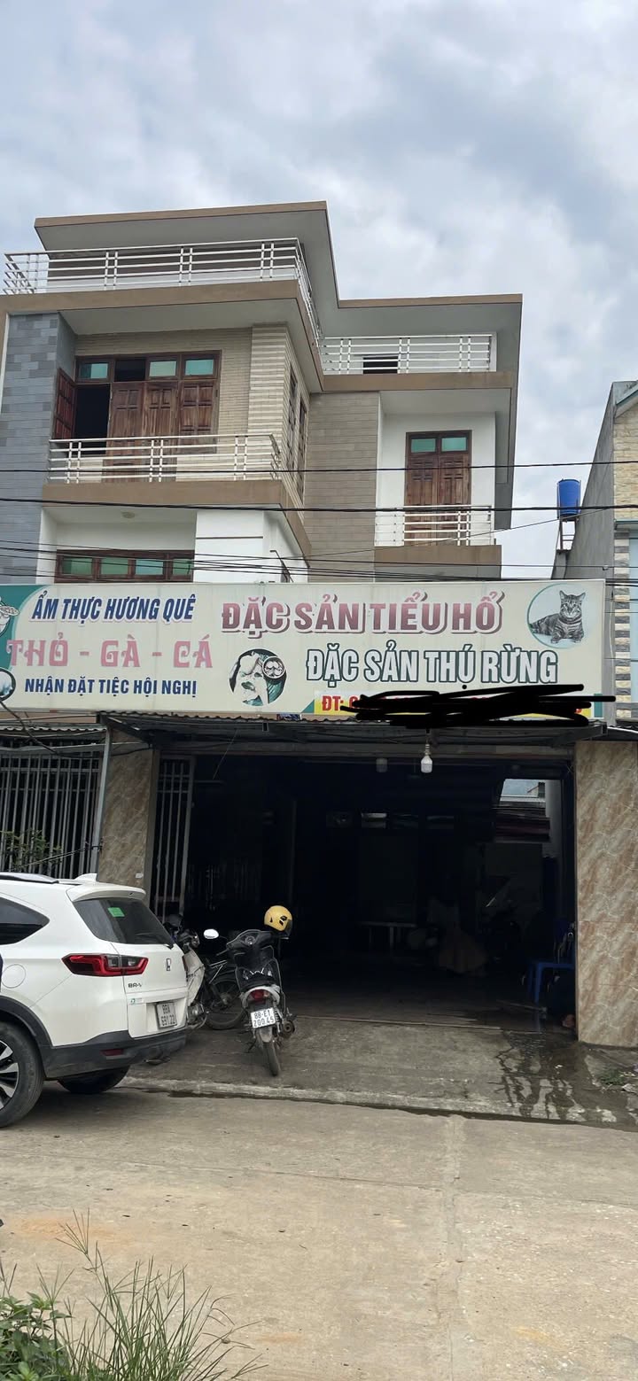 Nhà riêng tại Tam Đảo 200m² giá chỉ 3.1 tỷ - Đầu tư sinh lời ổn định!