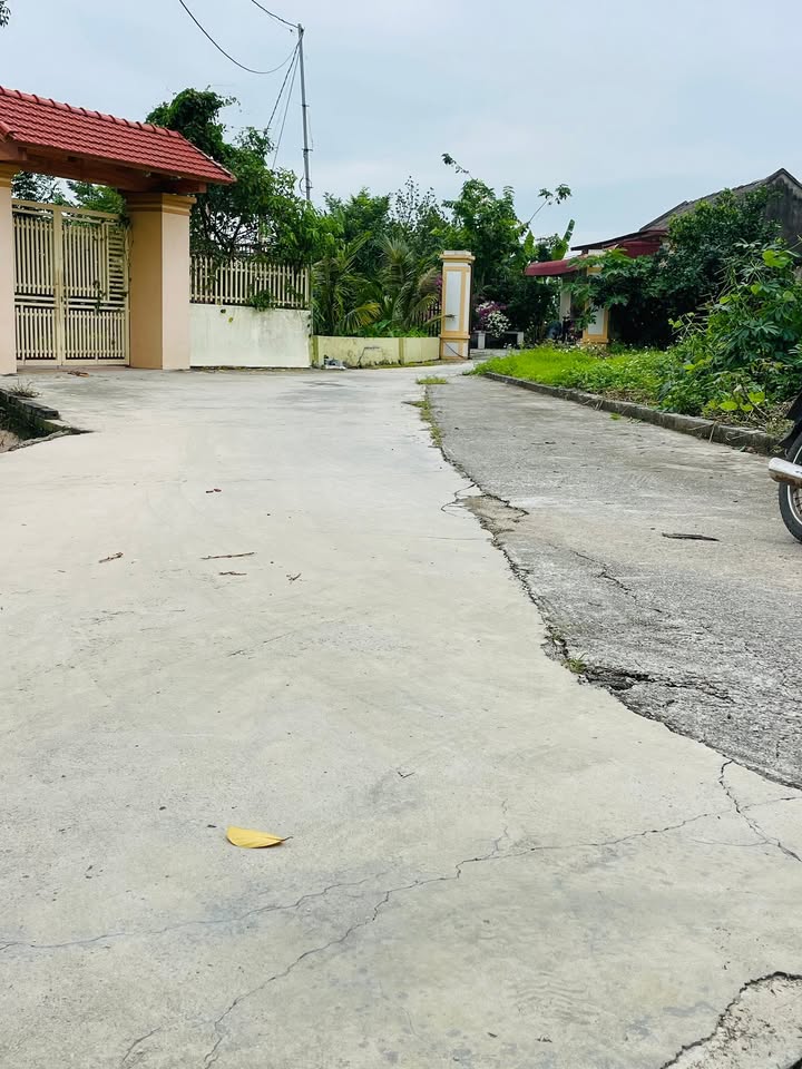 Đất nền Nguyên Giáp, Tứ Kỳ 100m² giá 500 triệu - Cơ hội đầu tư hiếm có!