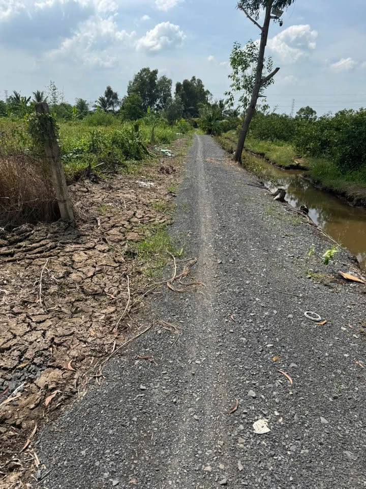 Đất nền 700m² tại Ấp 6, xã Thạnh Lợi, Bến Lức - Giá chỉ 430 triệu!