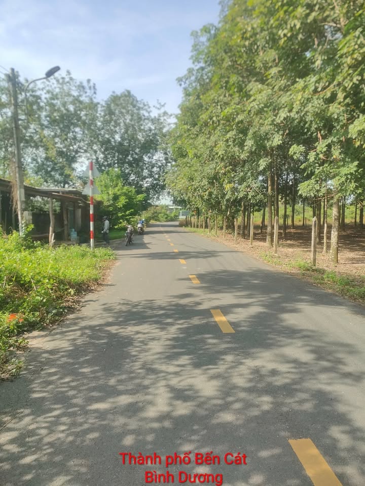 Đất nền An Điền Cũ, Long Nguyên 200m² giá 1.3 tỷ - Đầu tư sinh lời ngay!