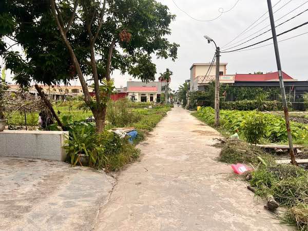 Đất nền đẹp tại Đông Phương, Kiến Thụy 135,7m² giá 2,3 tỷ - Đầu tư sinh lời ngay!