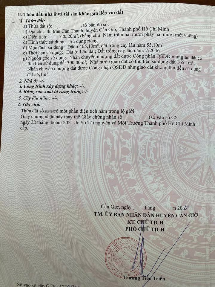 Đất nền mặt tiền đường Tắc Xuất 520m² giá 35 tỷ - Cơ hội đầu tư sinh lời cao!