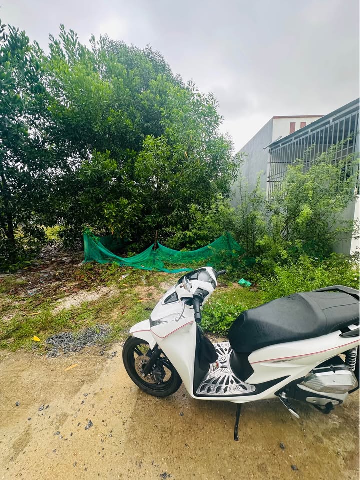 Đất thổ cư 137m² tại Bình Giang, Thăng Bình - Giá chỉ 270 triệu - Đầu tư sinh lời!