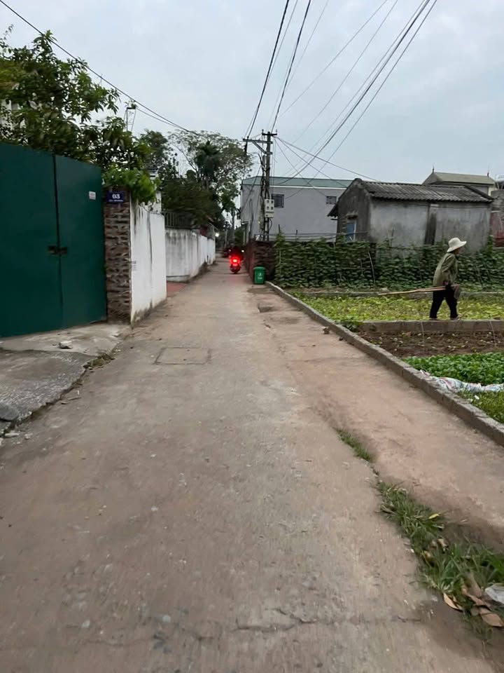 Đất 95m² Tự Nhiên, Thường Tín - Giá chỉ 3.x tỷ, đầu tư tiềm năng!