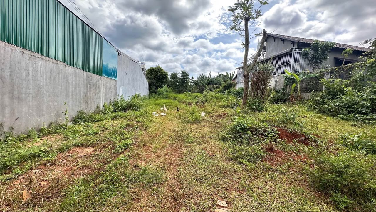 Đất nền xã Cư Êbur 228m² giá 1.65 tỷ - Đầu tư sinh lời ngay!