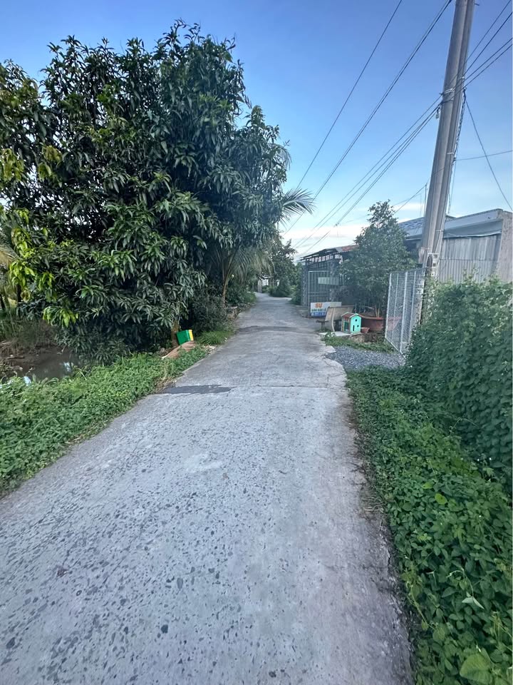 Đất Tân Quy Tây, Sa Đéc 2000m² giá 1.6 tỷ - View sông thoáng mát!