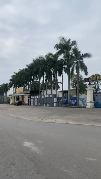 Đất nền Chợ Mới Song Khê 70,1m² giá 4 tỷ - Sổ đỏ chính chủ, khu dân cư đông đúc!