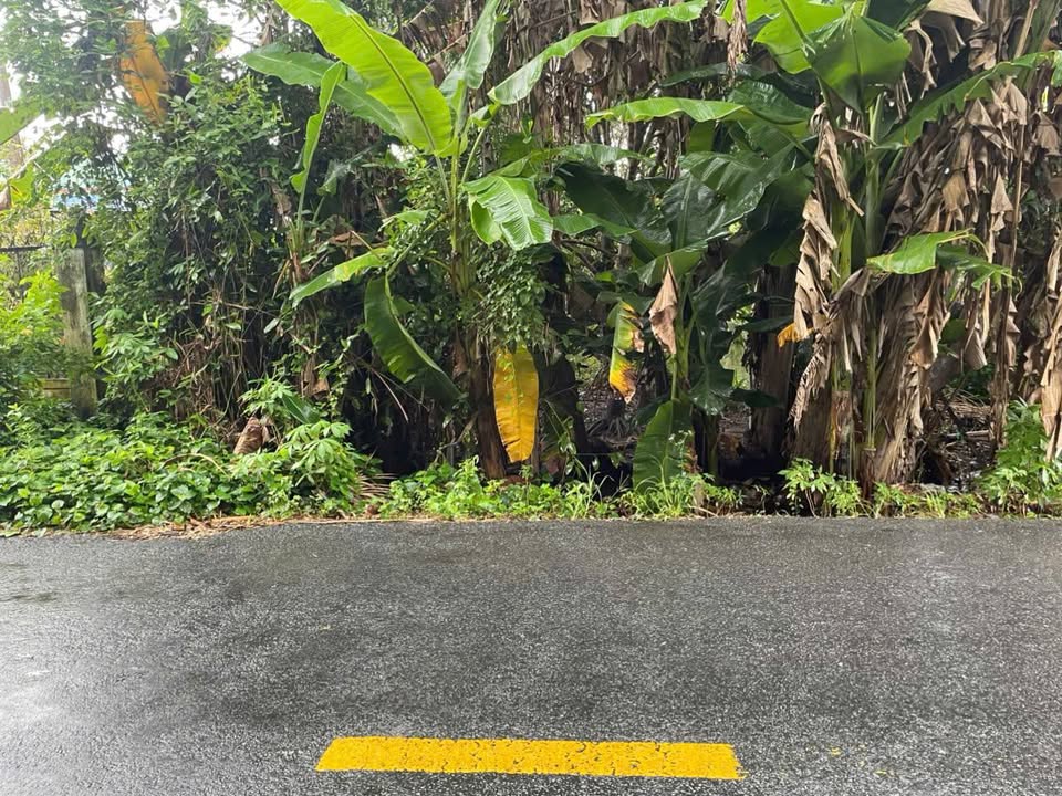 Đất mặt tiền Tỉnh Lộ 928 - 5.000m² giá 5 tỷ - Kinh doanh thuận lợi!