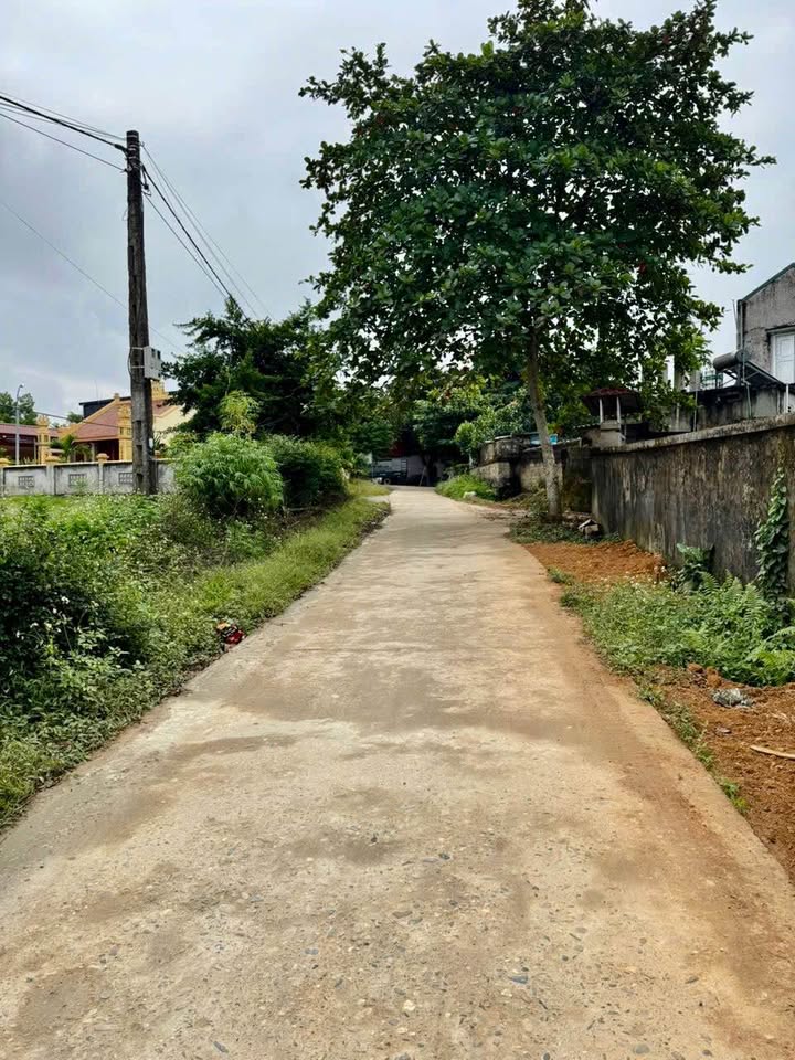 Đất nền đẹp tại Yên Sơn, Tuyên Quang 137m² giá chỉ 600 triệu - Cơ hội đầu tư tuyệt vời!