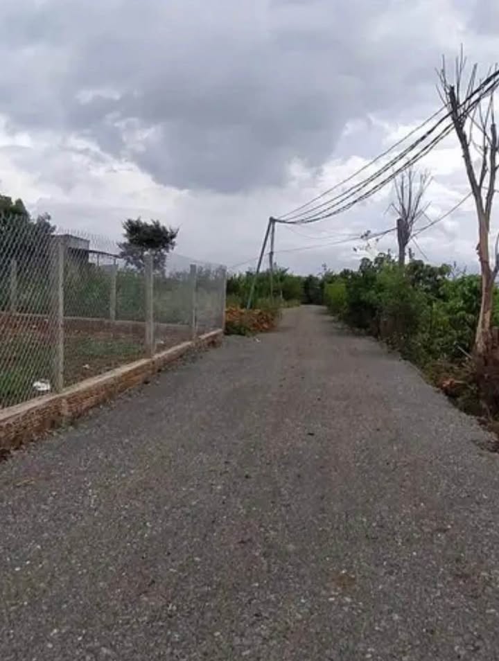 Đất nền Tân Hội, Đức Trọng 135m² giá chỉ 450 triệu - Cơ hội đầu tư sinh lời!