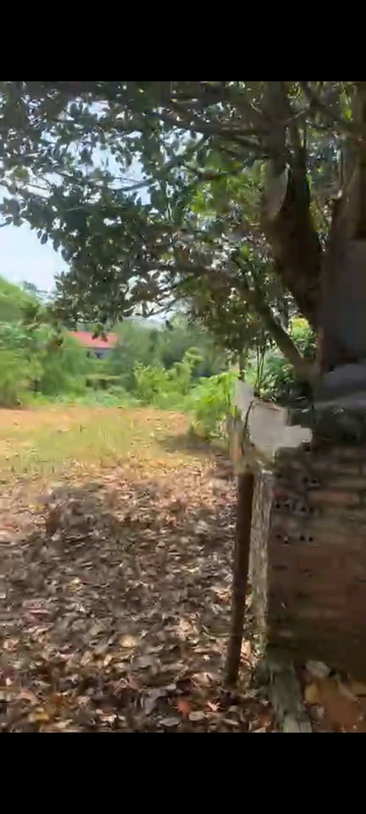 Đất nền chính chủ tại Thanh Đình, Việt Trì 115m² - Gần ủy ban, trường học