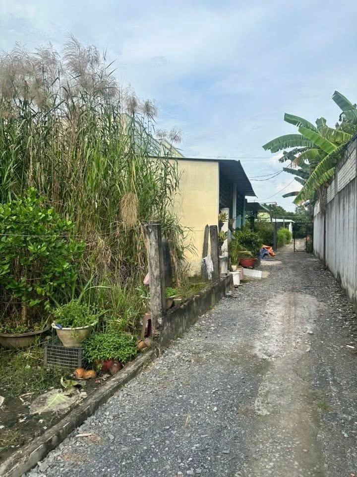 Đất thổ cư 109m² tại ấp 4 Nhựt Chánh, Bến Lức - Giá 730 triệu, sổ đỏ chính chủ!