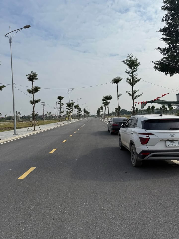 Đất nền dự án Hoàng Lý Duy Tiên 200m² - Đầu tư sinh lời hấp dẫn!