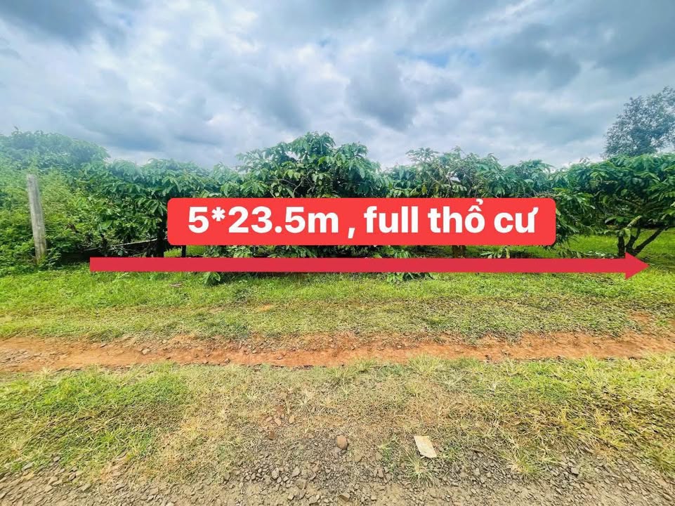 Đất thổ cư Ký Kon, Pleiku 117.5m² giá chỉ 900 triệu - Hướng Nam, đường thông thoáng!