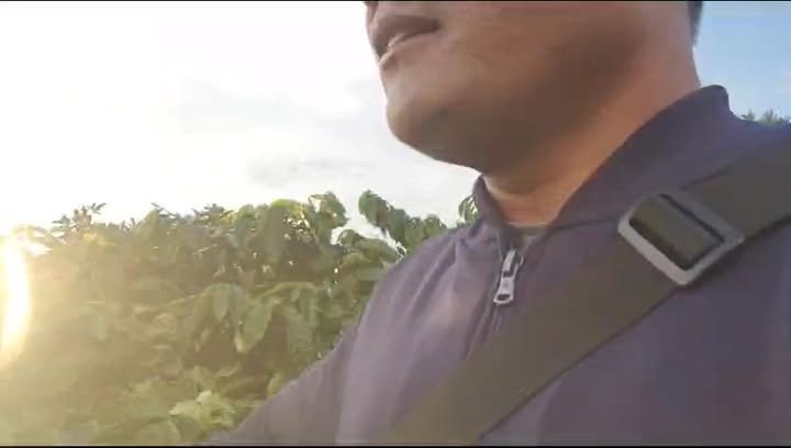 Đất Farm 4ha tại Kon Thụp, Mang Yang - Giá chỉ 1.1 tỷ, Đầu tư sinh lời!