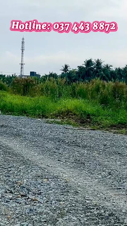 Đất nền xã hội Bình An, An Giang từ 326 triệu - Đầu tư sinh lời tốt!