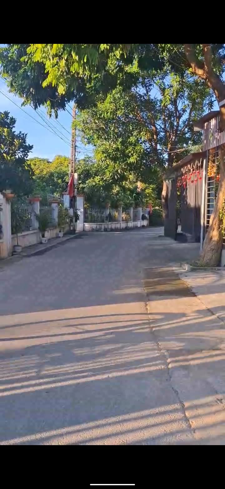 Đất nền chính chủ Quang Sơn - Tam Diệp 50m² giá tốt - Cơ hội đầu tư hấp dẫn!