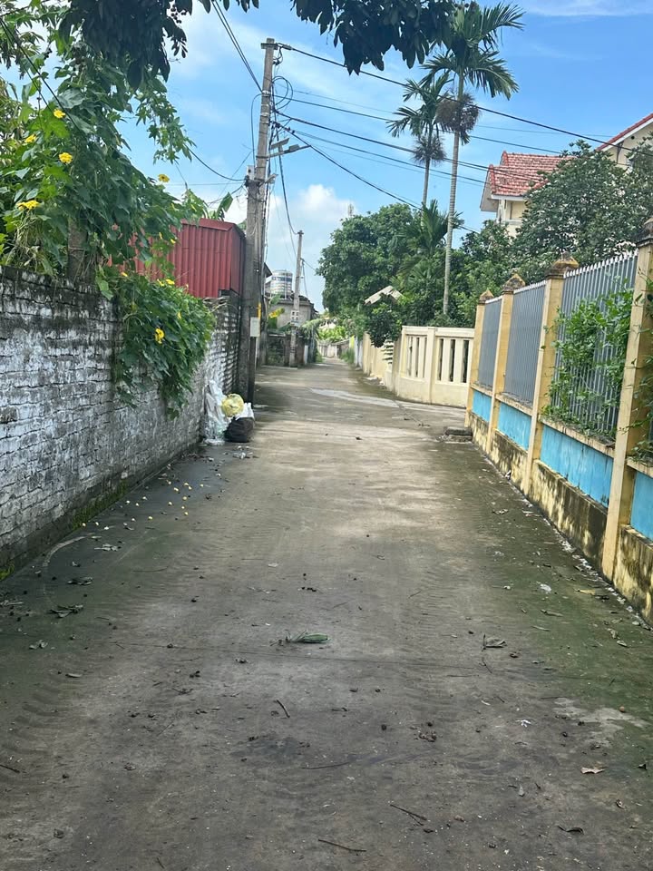 Đất nền đầu tư tại Khánh An, Đông Hoa, 310m² - Giá tốt, cơ hội không thể bỏ lỡ!