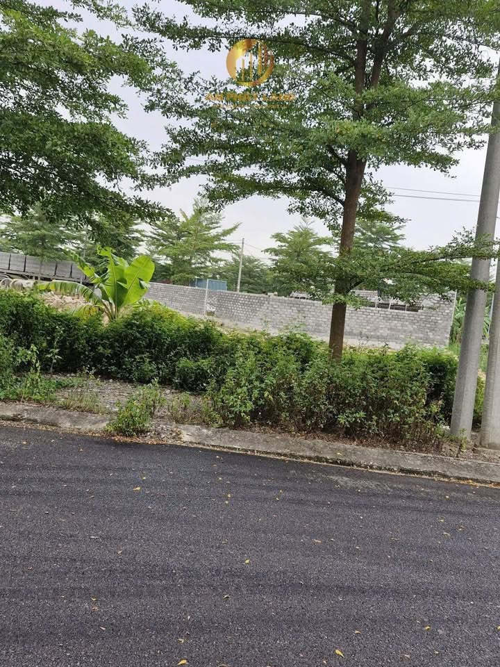 Đất phân lô Gia Vượng, Gia Viễn 122,6m² giá 1 tỷ - Đầu tư sinh lời ngay!