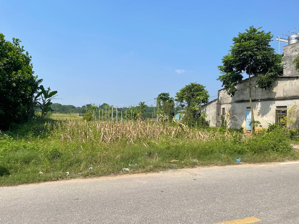 Đất mặt đường Hanh Cù 100m² giá thỏa thuận - Đầu tư sinh lời ngay!