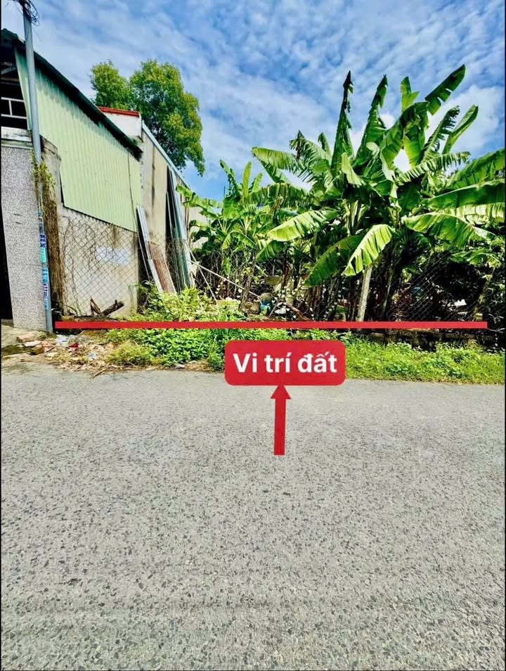 Đất thổ cư 125m² tại P. Phú Hòa, Thủ Dầu Một - Vị trí vàng cho kinh doanh!