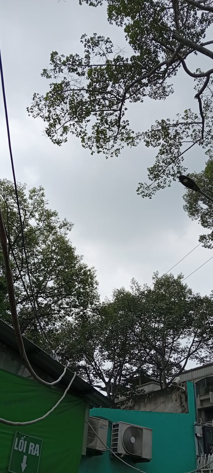 Nhà 4 tầng Trần Hưng Đạo, Quận 1, 80m² chỉ 15.99 tỷ - Cơ hội vàng đầu tư!