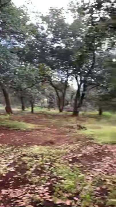 Đất nền Đồng Tâm Đồng Phú 19000m² giá chỉ 1.85 tỷ - Cơ hội đầu tư tuyệt vời!