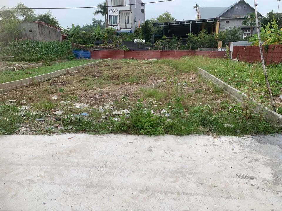 Đất nền An Lão Hải Phòng 410m² giá chỉ 3 tỷ - Cơ hội đầu tư tuyệt vời!