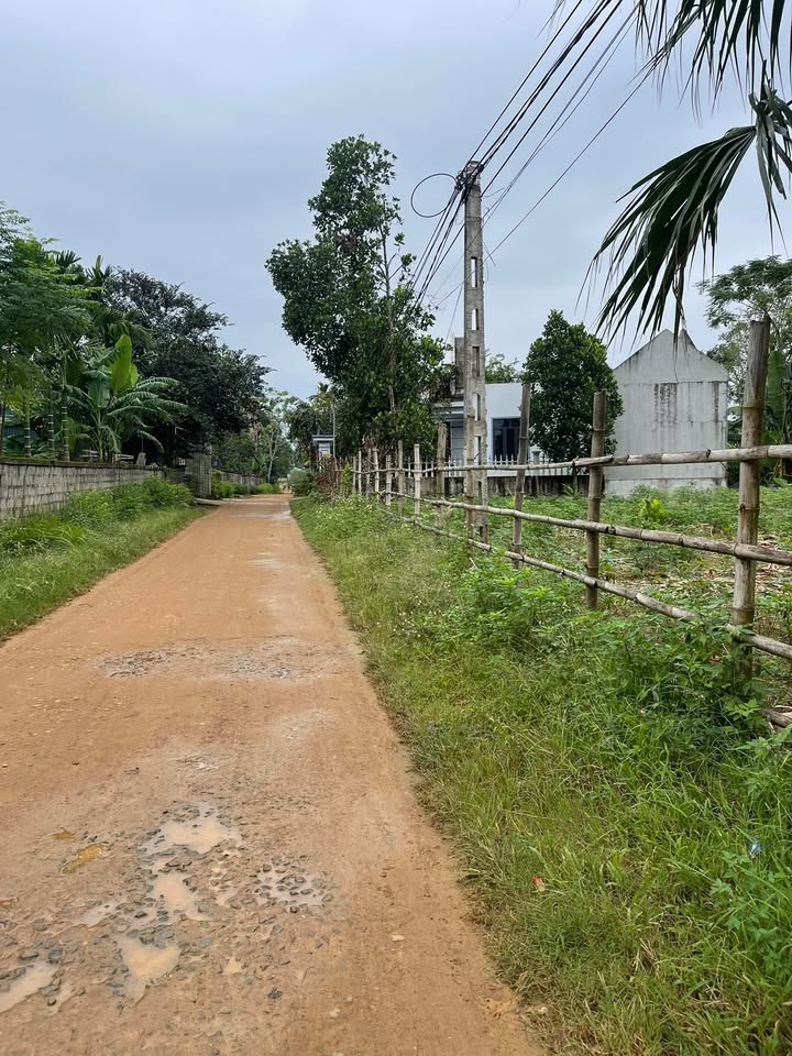 Đất thổ cư 491m² thôn Thọ Phú, xã Kiên Thọ - Mặt tiền 37m, giá 1 tỷ!