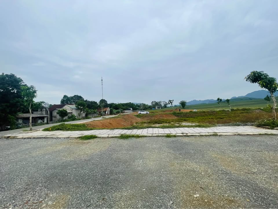 Đất nền Ngọc Lặc Thanh Hóa 150m² giá chỉ 300 triệu - Sổ đỏ chính chủ từng lô!