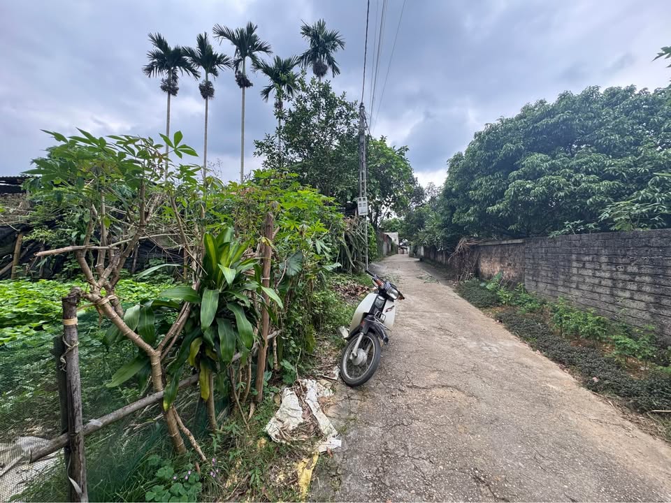 Đất nền Khu 2, xã Dân Chủ, huyện Phù Ninh 433m² giá 1 tỷ - Cơ hội đầu tư hấp dẫn!