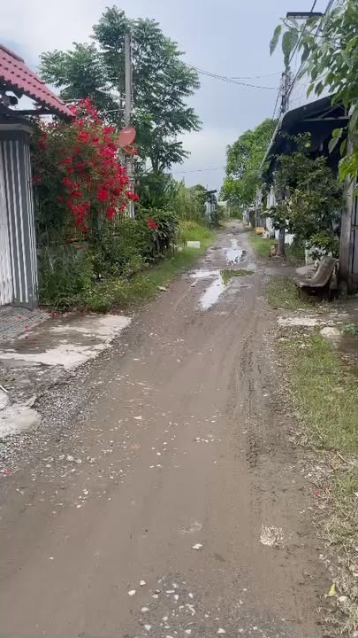 Đất thổ cư 115m² tại Trà Vinh - Giá thỏa thuận, nhanh tay sở hữu!