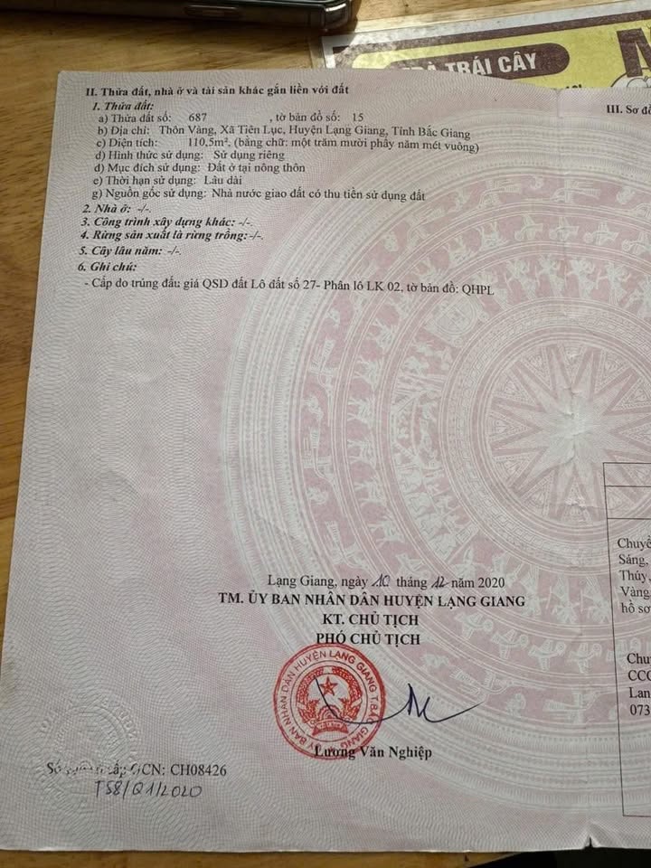 Đất nền Tiên Lục - Lạng Giang 110m² giá 1 tỷ - Đường ô tô thông thoáng!