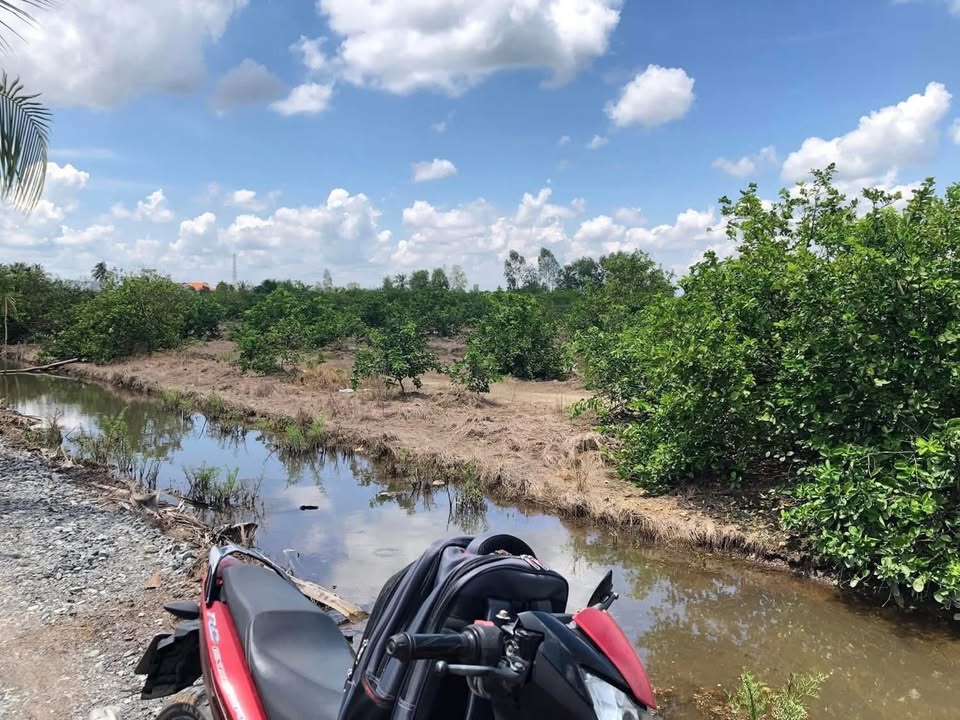 Đất vườn 5.260m² tại Bình Đức, Bến Lức - Giá chỉ 4.5 tỷ, thương lượng ngay!