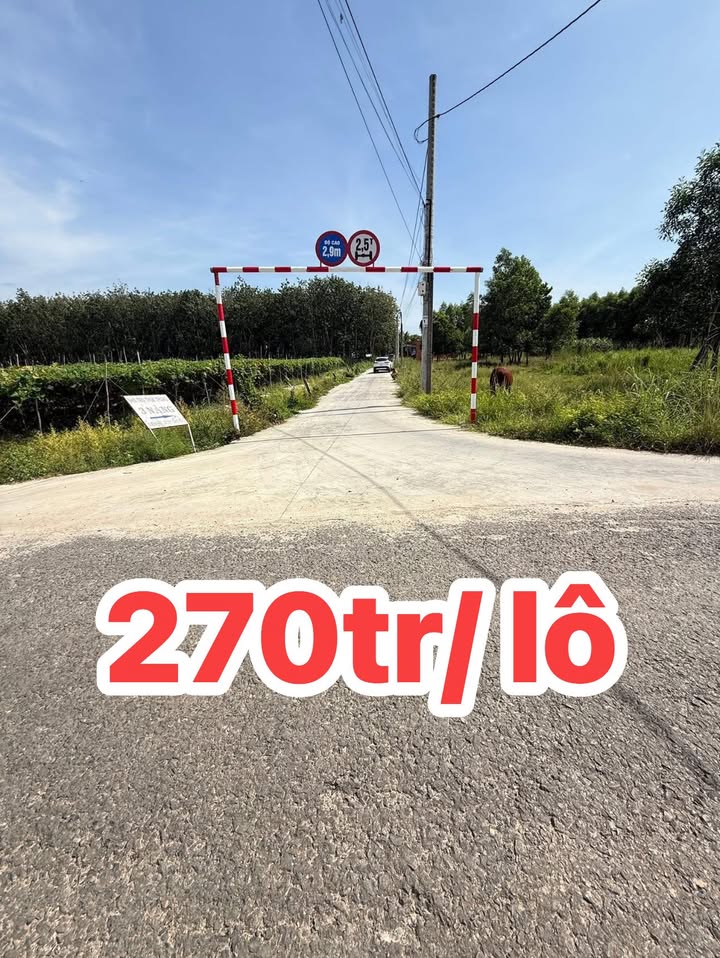 Đất nền ấp Tân Minh, xã Tân Biên 125m² giá 270 triệu - Cơ hội đầu tư hấp dẫn!