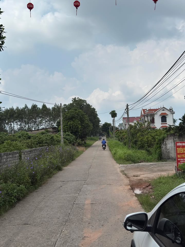 Đất thổ cư 219m² mặt đường TPD Nghĩa, Lục Ngạn - Giá cực hấp dẫn!