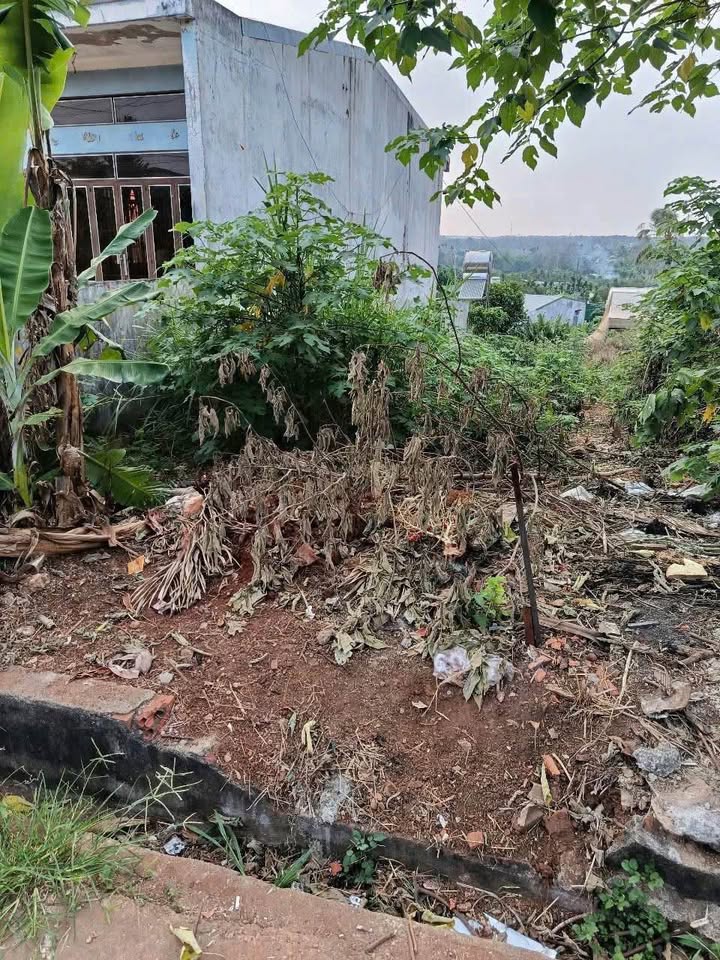 Đất hẻm 413 Phạm Văn Đồng 165m² giá 1.65 tỷ - Đường ô tô ra chợ chỉ 300m!