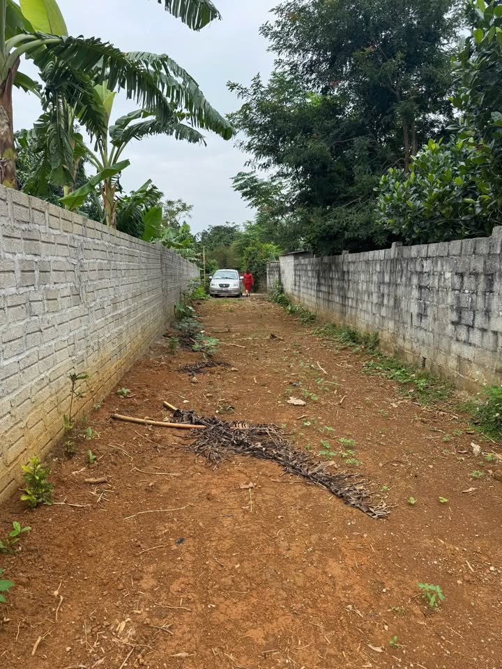 Đất Ninh Bình 2100m² giá chỉ 2 tỷ - Đầu tư sinh lời ngay!