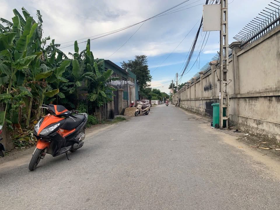 Đất mặt đường Xuân Tiến, Vinh Hưng 272m² chỉ 5.3 tỷ - Đầu tư sinh lời!