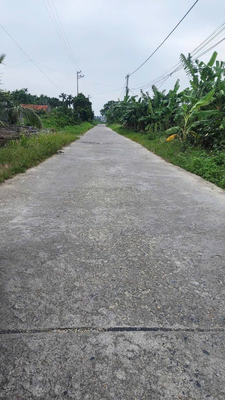 Đất mặt phố Bảo Thái, Tân Hưng, Hải Dương 100m² giá 1 tỷ - Đầu tư sinh lời!